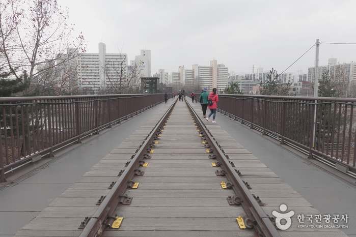 경춘철교 위 레일과 보행로